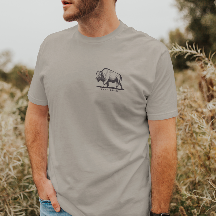 Be Strong and Steadfast Buffalo Short Sleeve T-Shirt